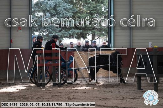 Mintakép 20260207-1154