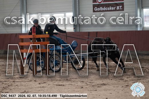 Mintakép 20260207-1155