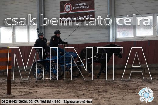 Mintakép 20260207-1159