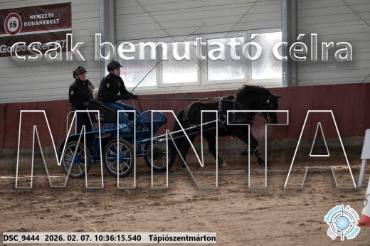 Mintakép 20260207-1160