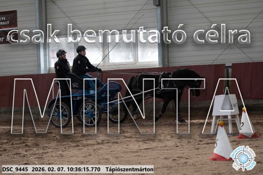 Mintakép 20260207-1161