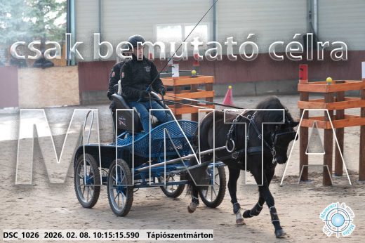 Mintakép 20260208-2005