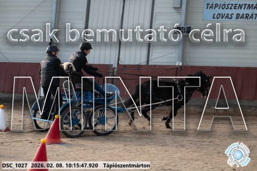 Mintakép 20260208-2006