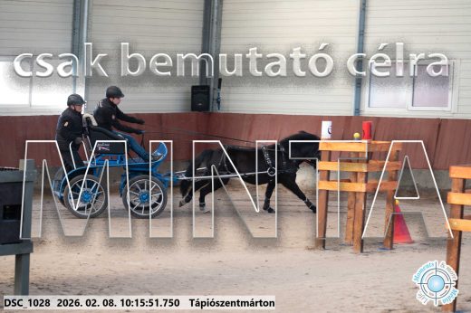 Mintakép 20260208-2007