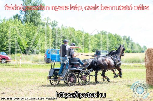 Mintakép 20260613-672
