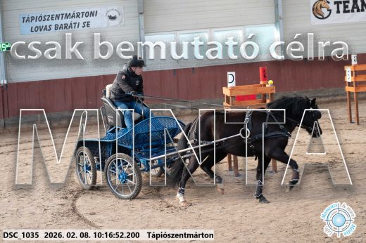 Mintakép 20260208-2012