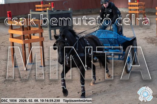Mintakép 20260208-2013