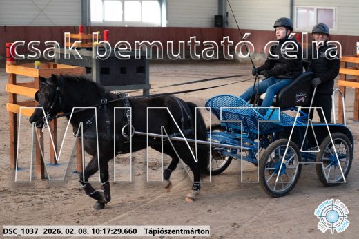 Mintakép 20260208-2014