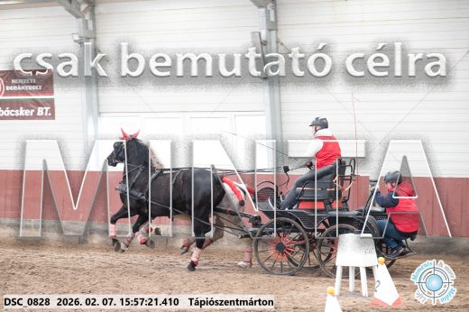 Mintakép 20260207-1166
