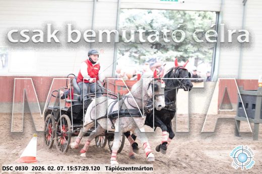 Mintakép 20260207-1168