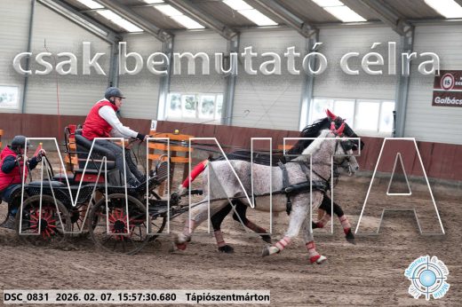 Mintakép 20260207-1169