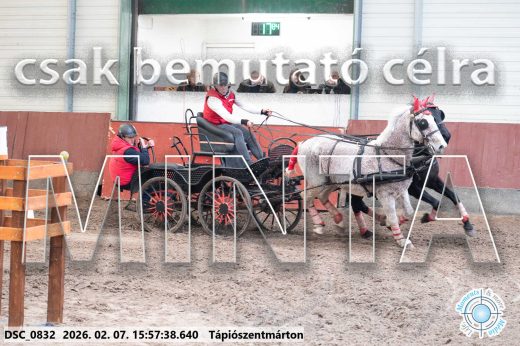 Mintakép 20260207-1170