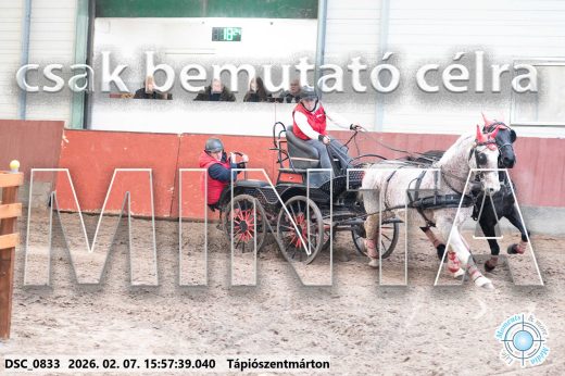 Mintakép 20260207-1171