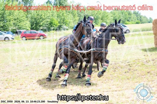 Mintakép 20260613-674