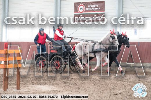 Mintakép 20260207-1180