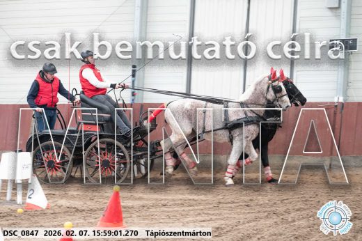 Mintakép 20260207-1181