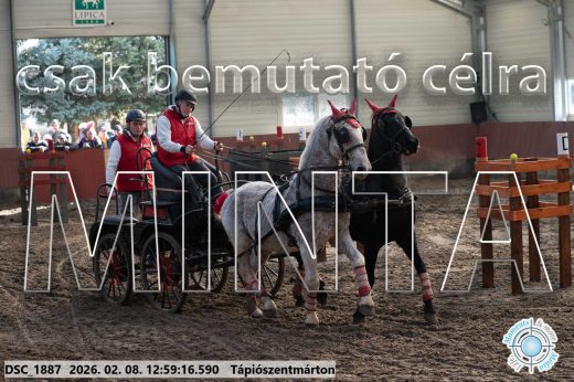 Mintakép 20260208-2015