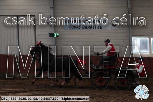 Mintakép 20260208-2016