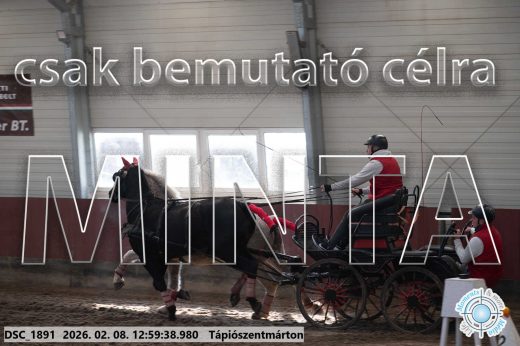 Mintakép 20260208-2018