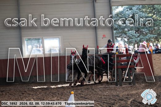 Mintakép 20260208-2019