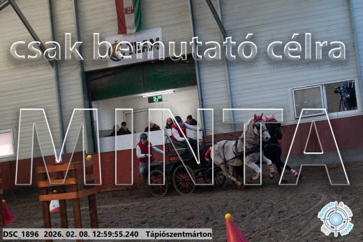 Mintakép 20260208-2022