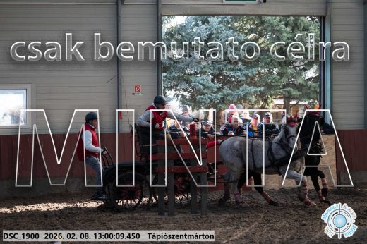 Mintakép 20260208-2025