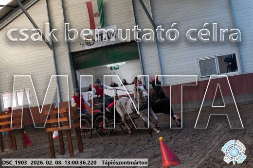 Mintakép 20260208-2028