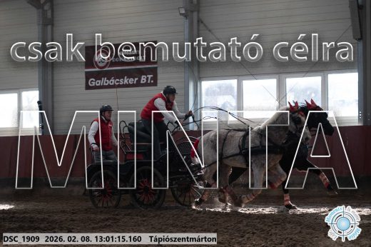 Mintakép 20260208-2033