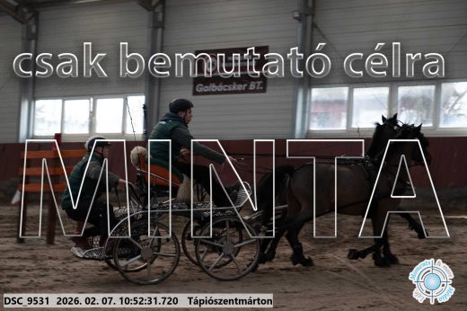 Mintakép 20260207-1187