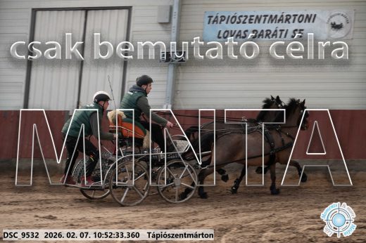 Mintakép 20260207-1188