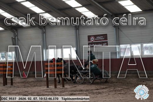Mintakép 20260207-1192