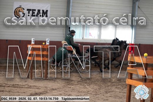 Mintakép 20260207-1193