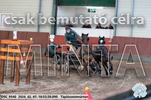 Mintakép 20260207-1194