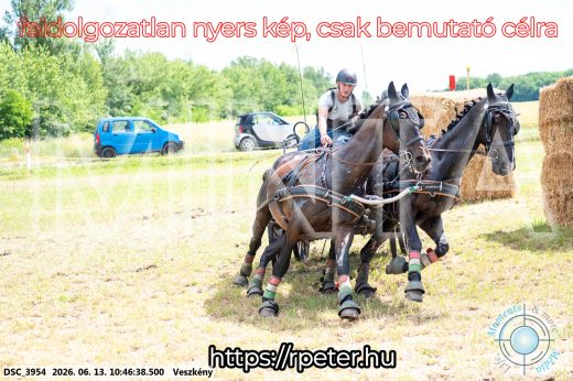 Mintakép 20260613-678