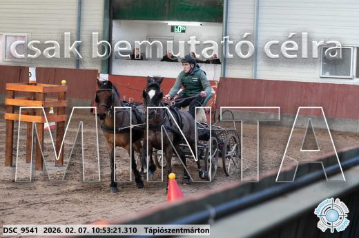 Mintakép 20260207-1195