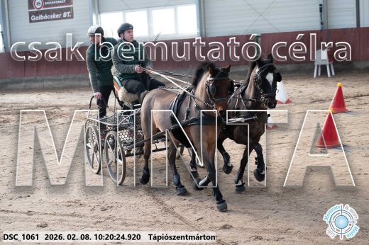 Mintakép 20260208-2035