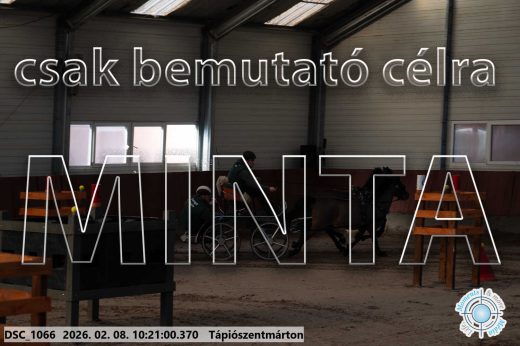 Mintakép 20260208-2040
