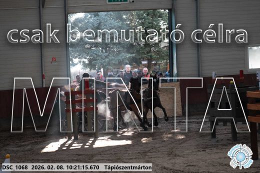 Mintakép 20260208-2042
