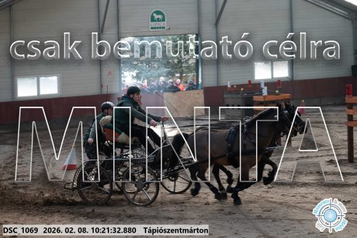 Mintakép 20260208-2043