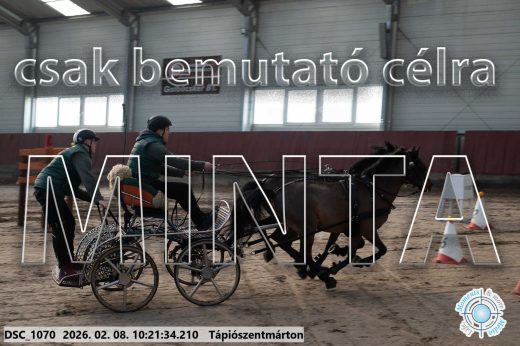 Mintakép 20260208-2044