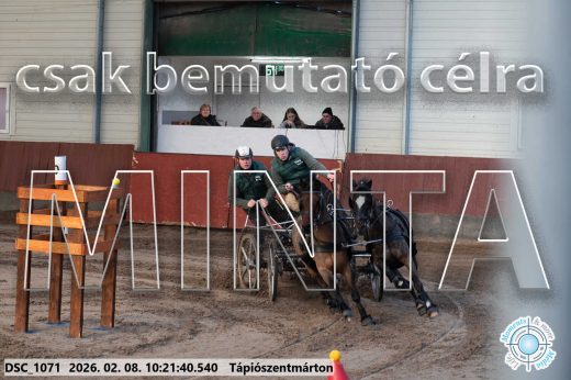 Mintakép 20260208-2045