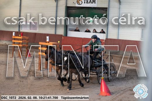 Mintakép 20260208-2046