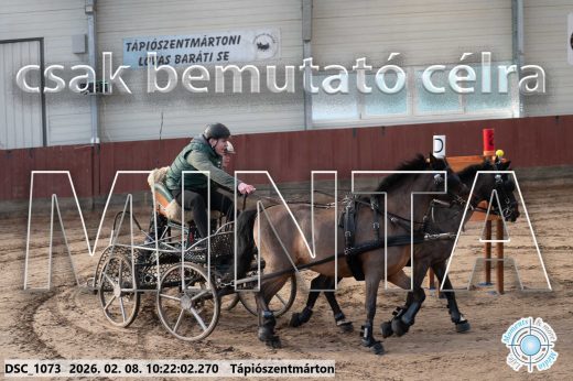 Mintakép 20260208-2047