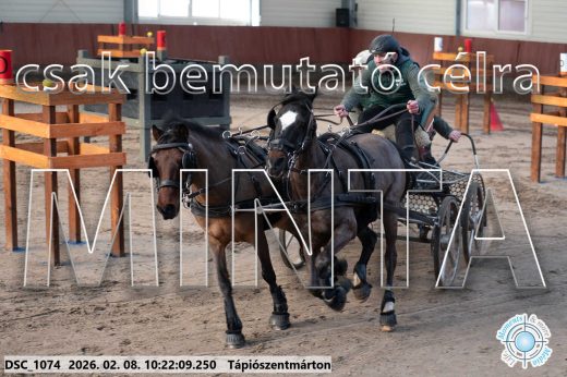 Mintakép 20260208-2048