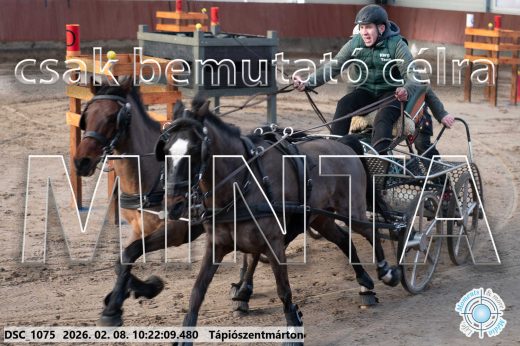 Mintakép 20260208-2049