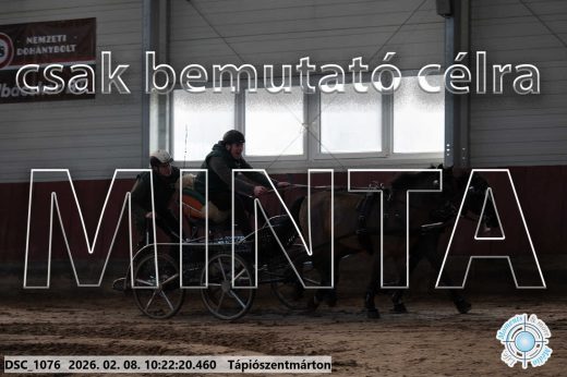 Mintakép 20260208-2050