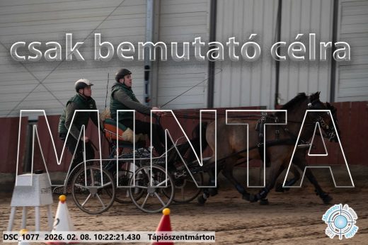 Mintakép 20260208-2051