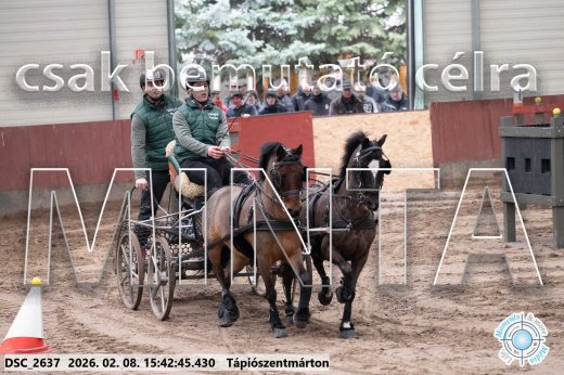 Mintakép 20260208-2052