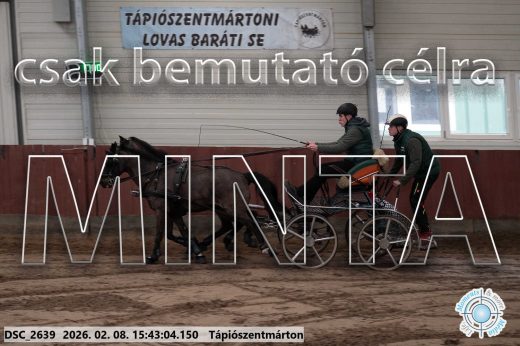 Mintakép 20260208-2054