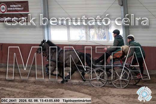 Mintakép 20260208-2056
